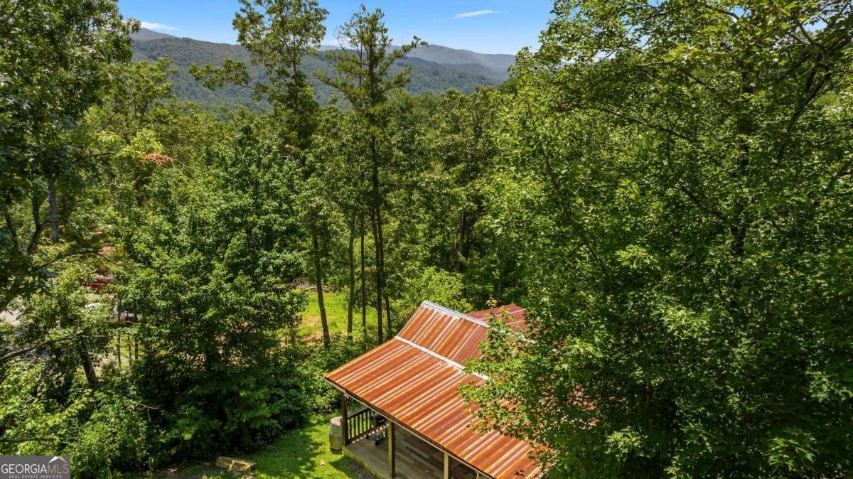 120 Community Hill Drive Blue Ridge - Photo 25