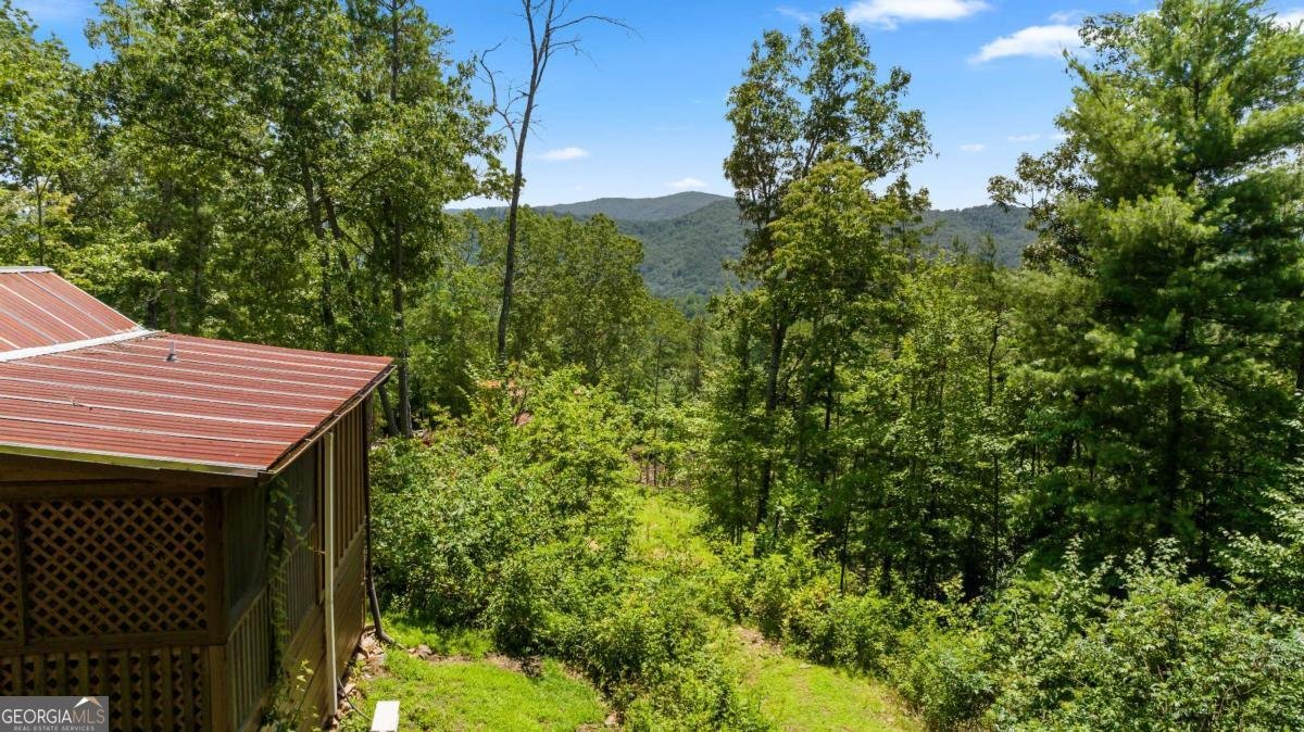 120 Community Hill Drive Blue Ridge - Photo 26