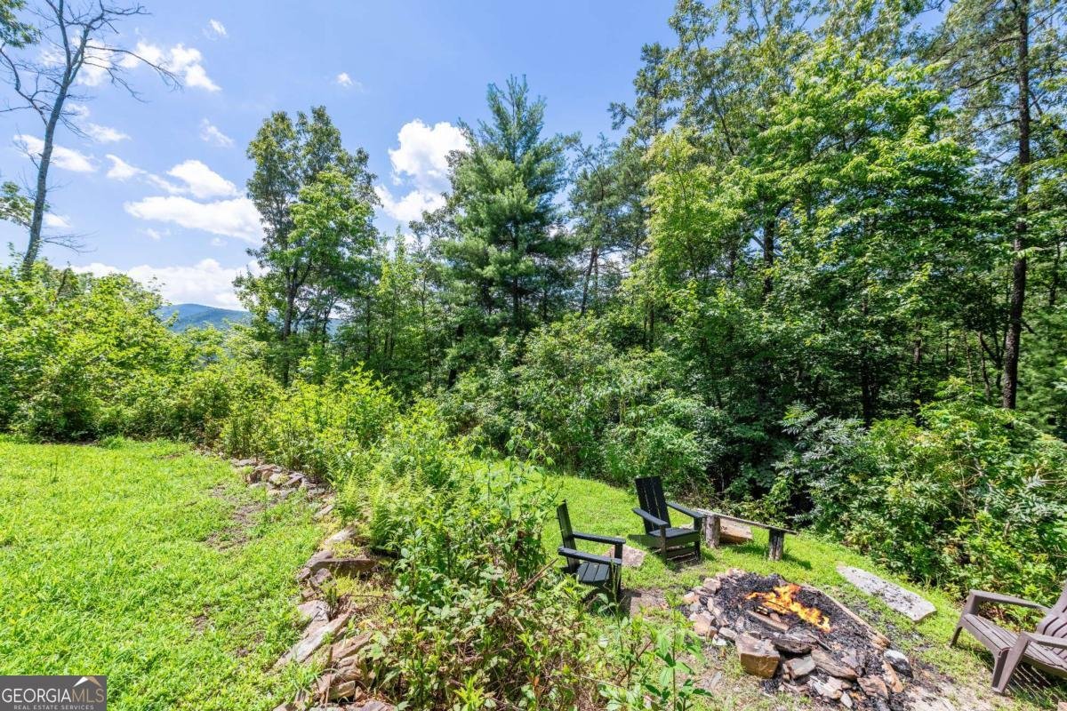 120 Community Hill Drive Blue Ridge - Photo 49