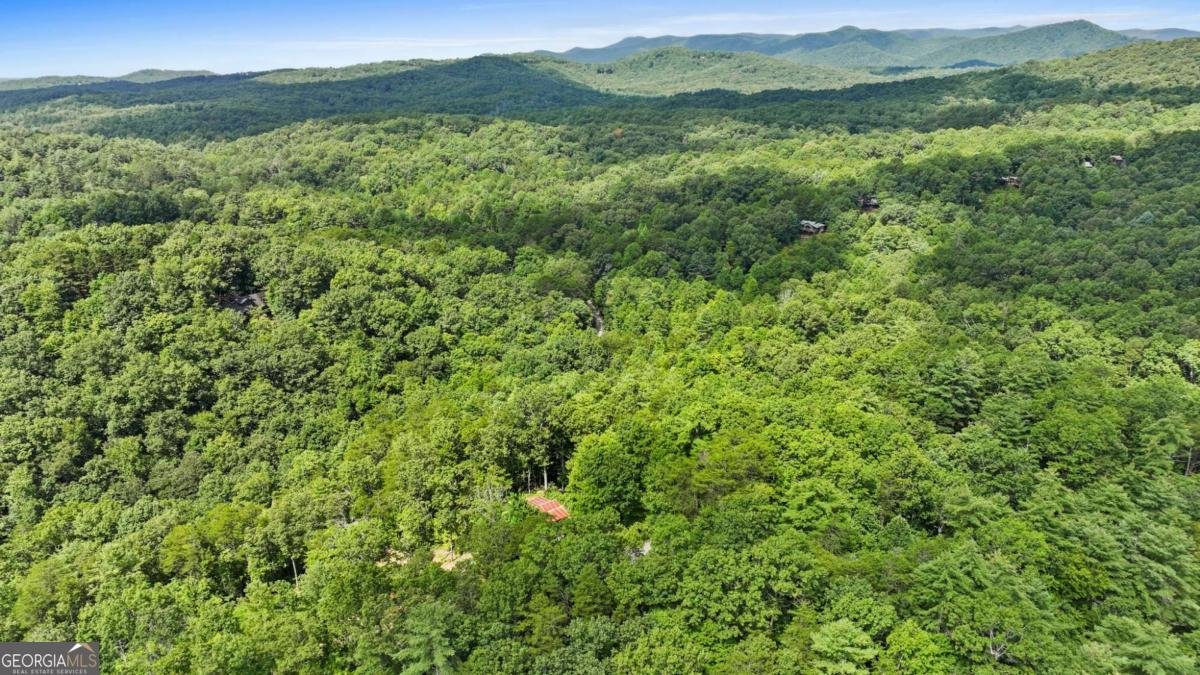 120 Community Hill Drive Blue Ridge - Photo 57