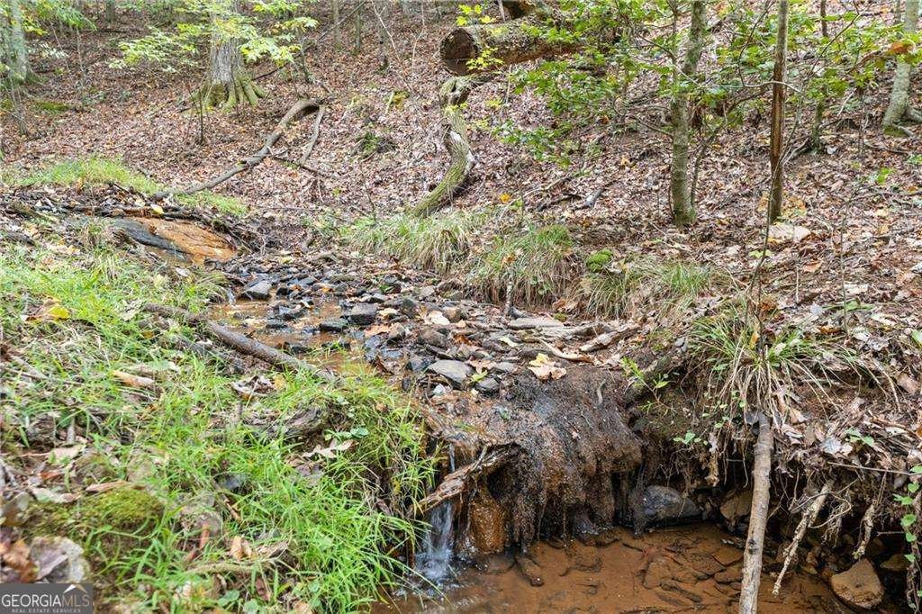 6245 Julian Road Gainesville - Photo 11