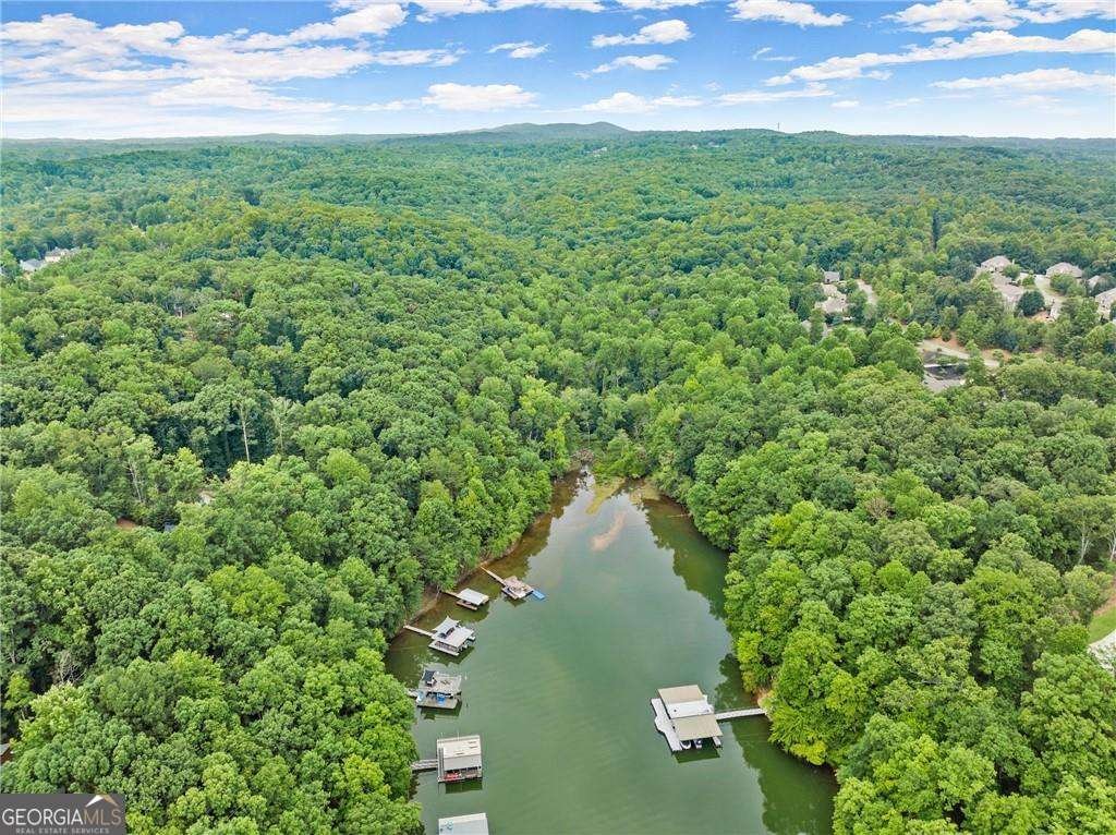 6245 Julian Road Gainesville - Photo 12