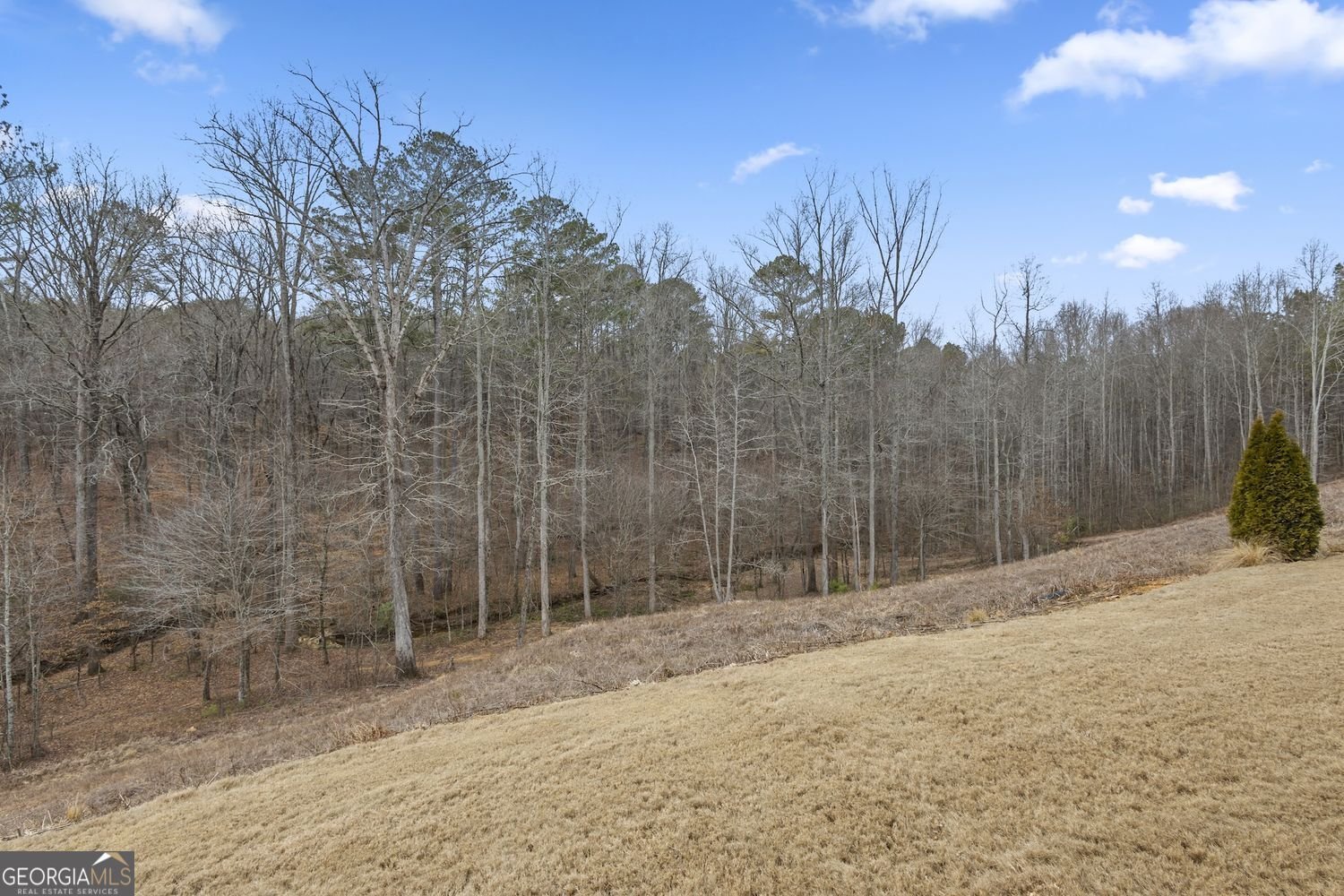 351 Grand Circle Jasper - Photo 40