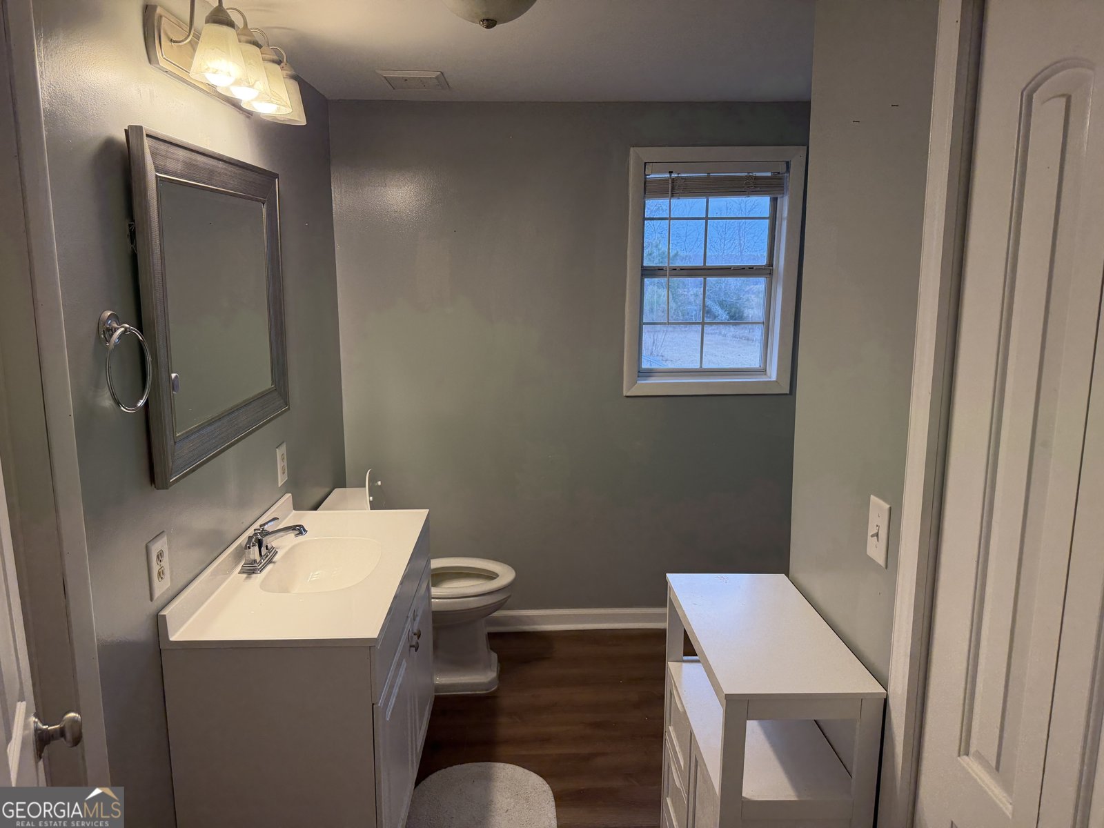 141 Evergreen Church Road Cobbtown - Photo 11