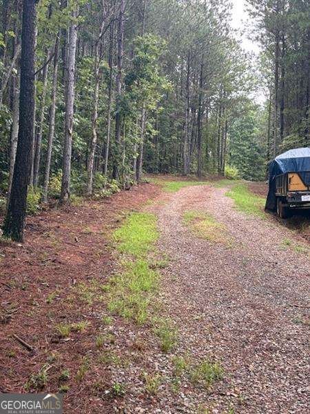 3199 Big Ridge Road Talking Rock - Photo 10