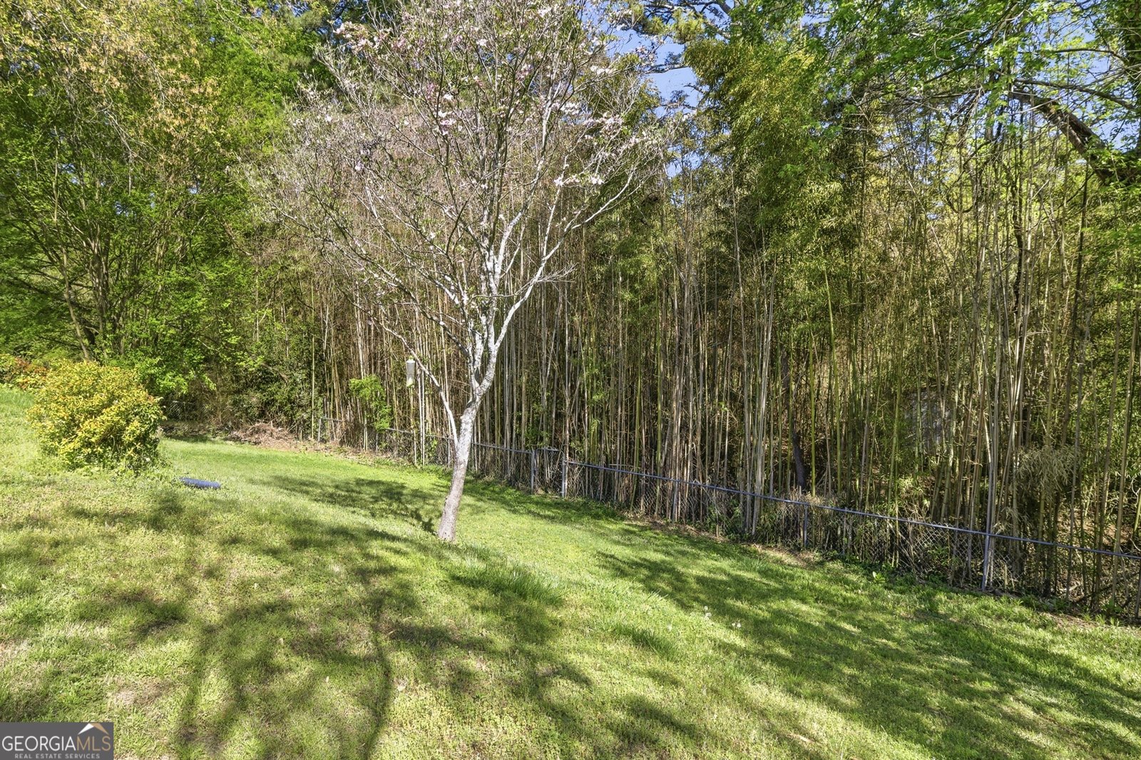 344 Holly Drive Gainesville - Photo 87