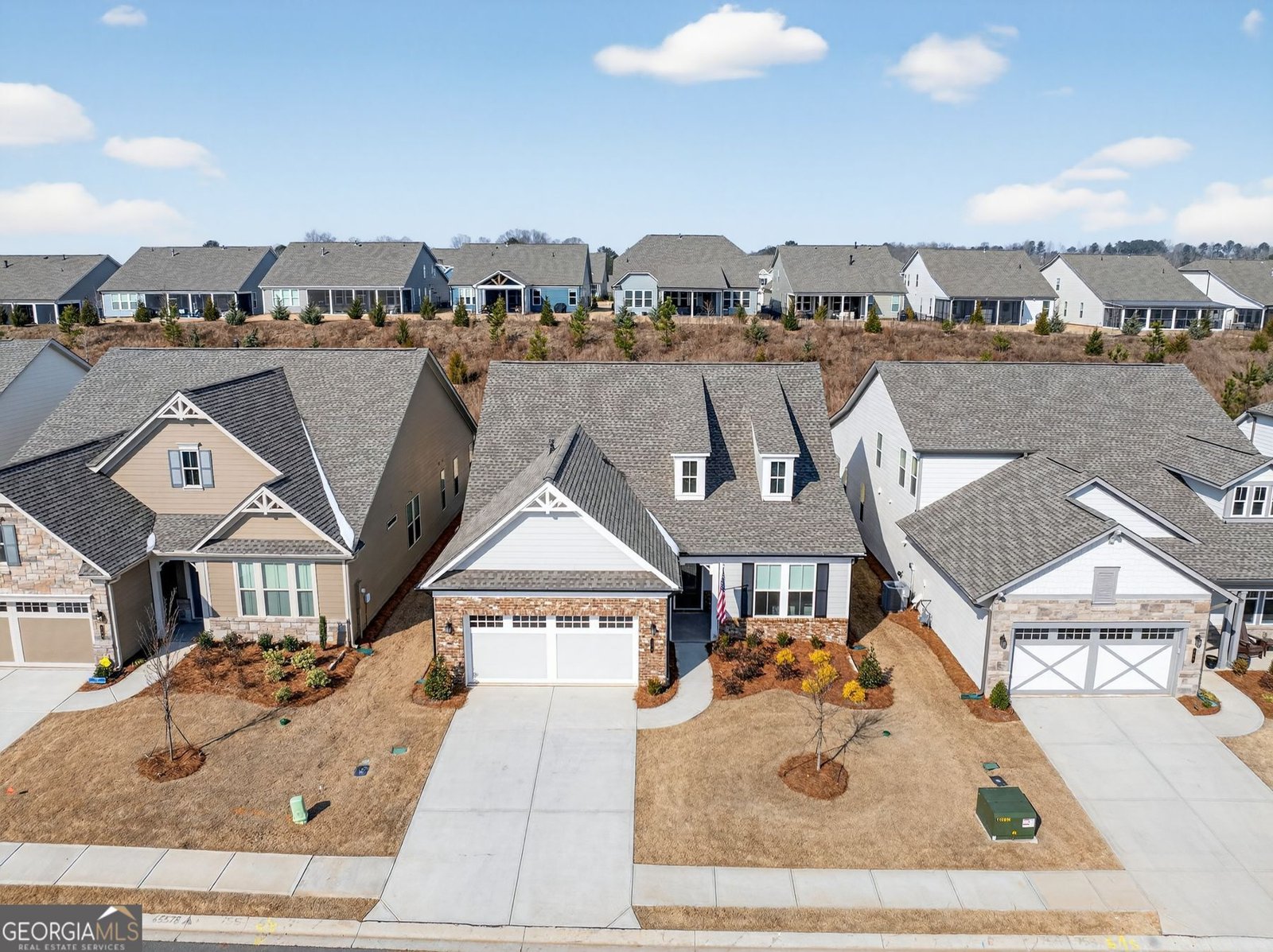 178 Bear Way Hoschton - Photo 42