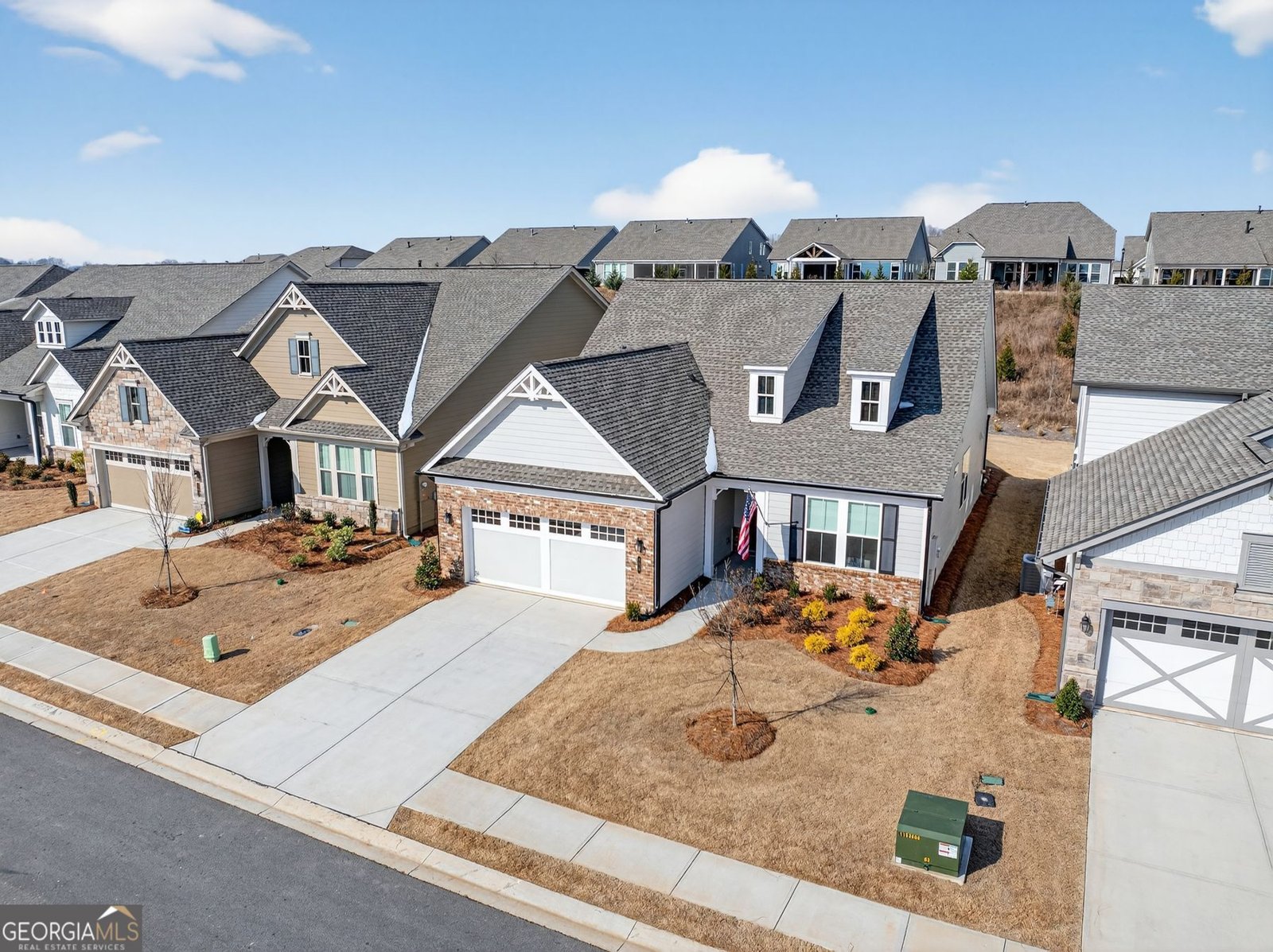 178 Bear Way Hoschton - Photo 43