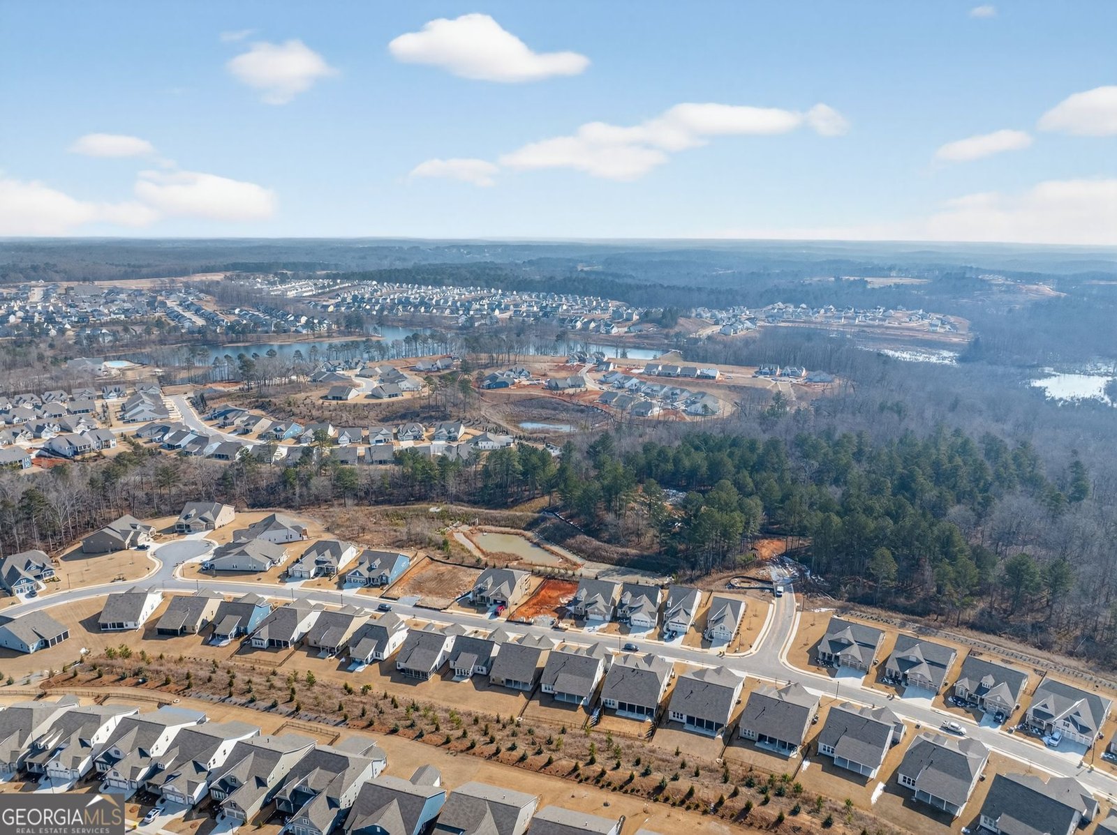 178 Bear Way Hoschton - Photo 45