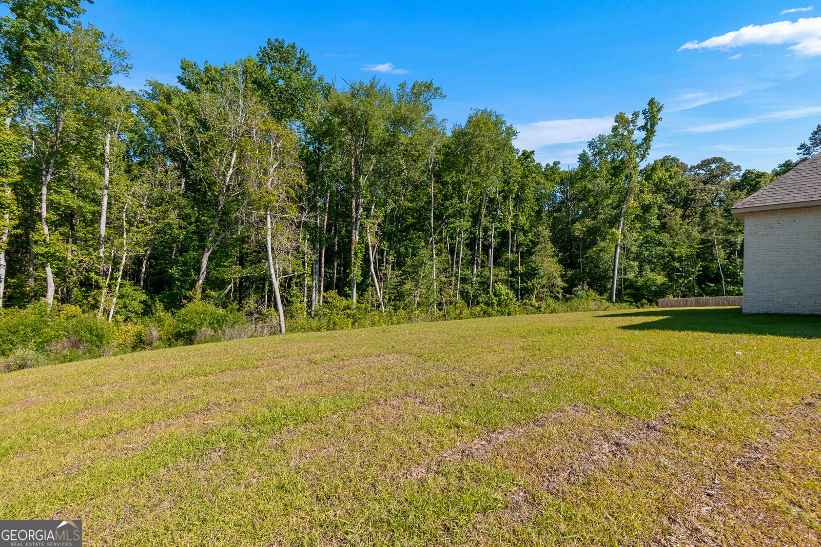 217 Golden Chestnut Bend Bonaire - Photo 56