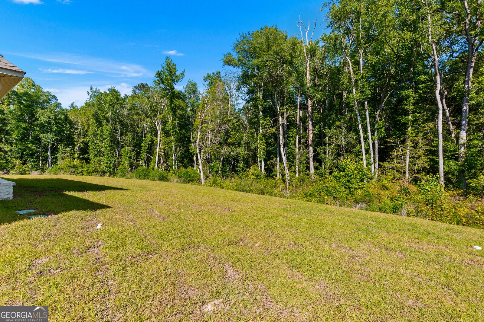 217 Golden Chestnut Bend Bonaire - Photo 60