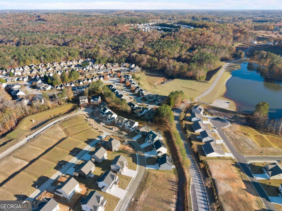 1005 Southwood Drive Villa Rica - Photo 44