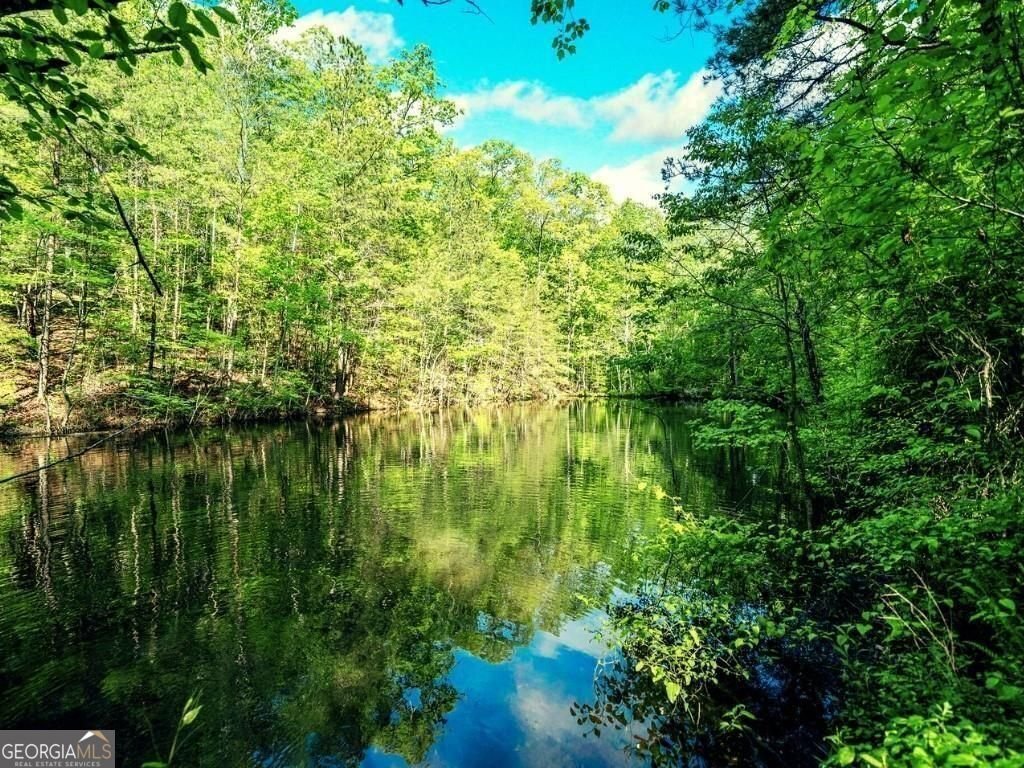 1575 Davis Road Fairmount - Photo 36