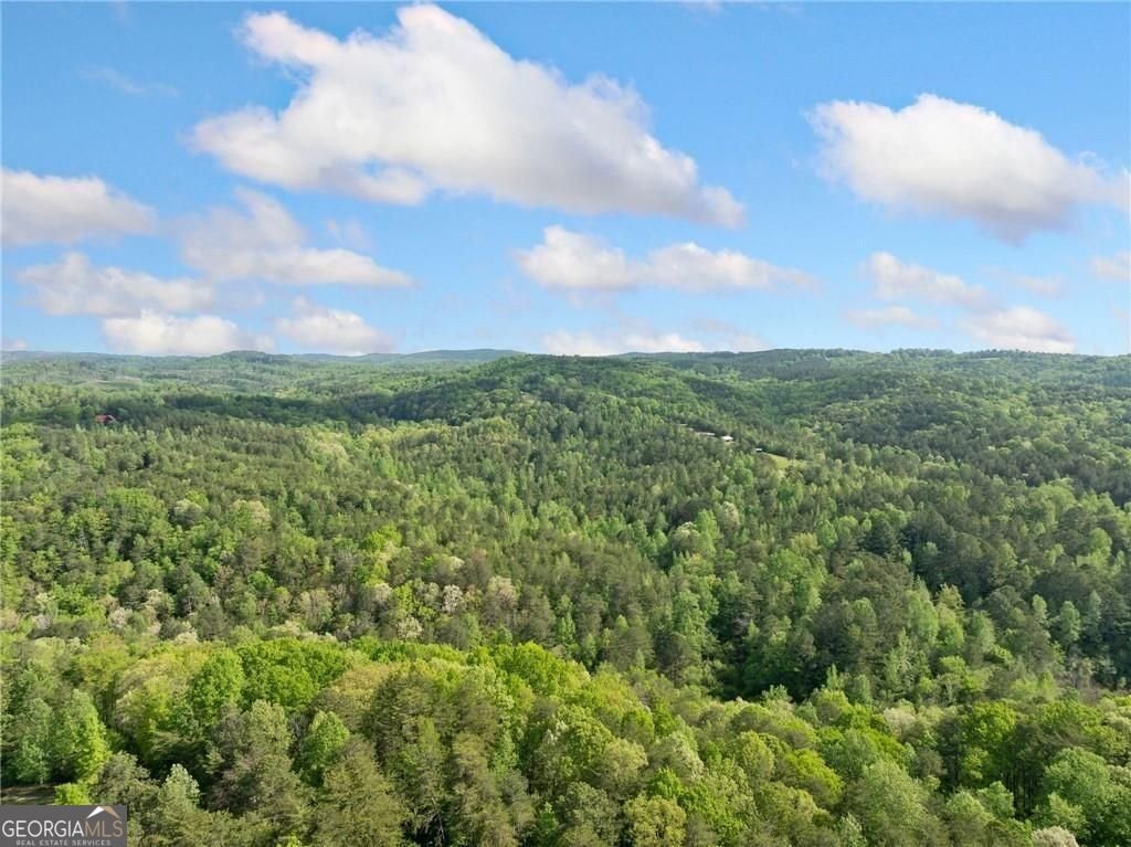 1575 Davis Road Fairmount - Photo 48