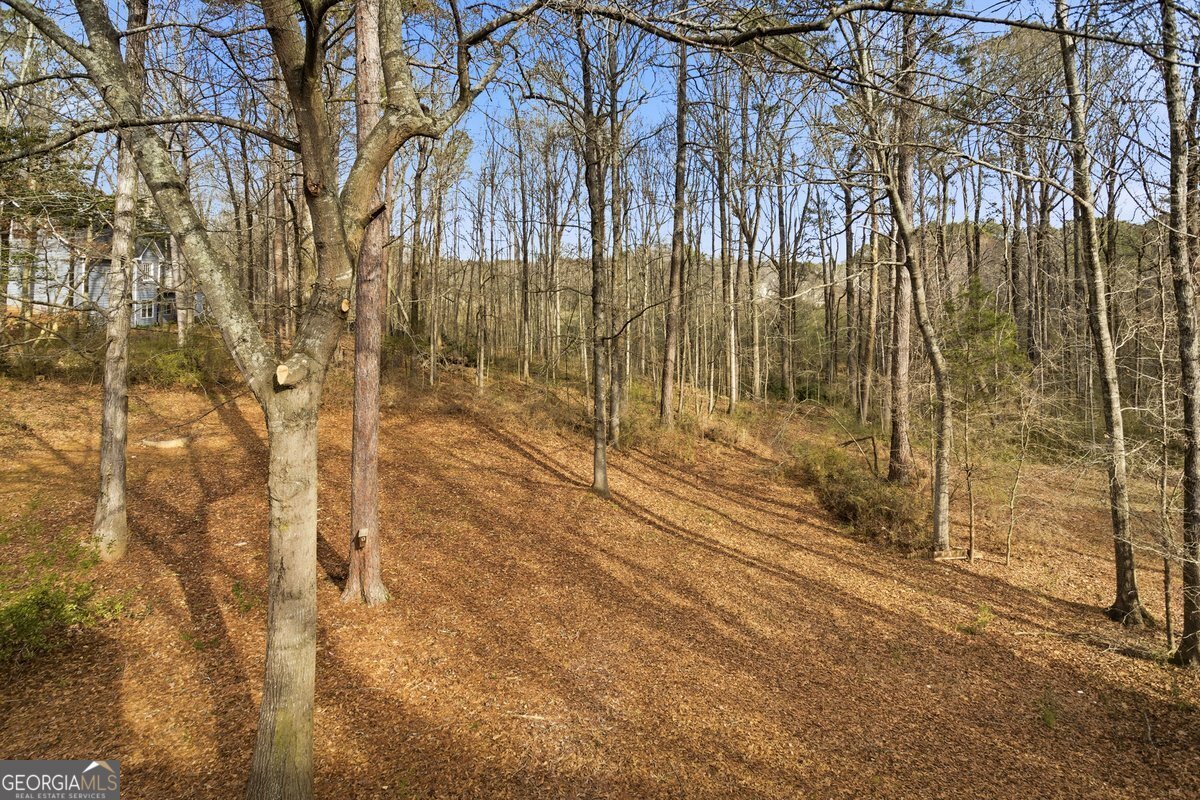 2645 Laurel Woods Lane Conyers - Photo 12