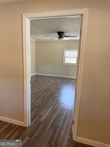 305 Daisy Street Resaca - Photo 6