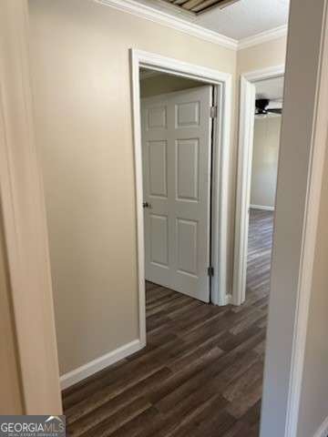 305 Daisy Street Resaca - Photo 9