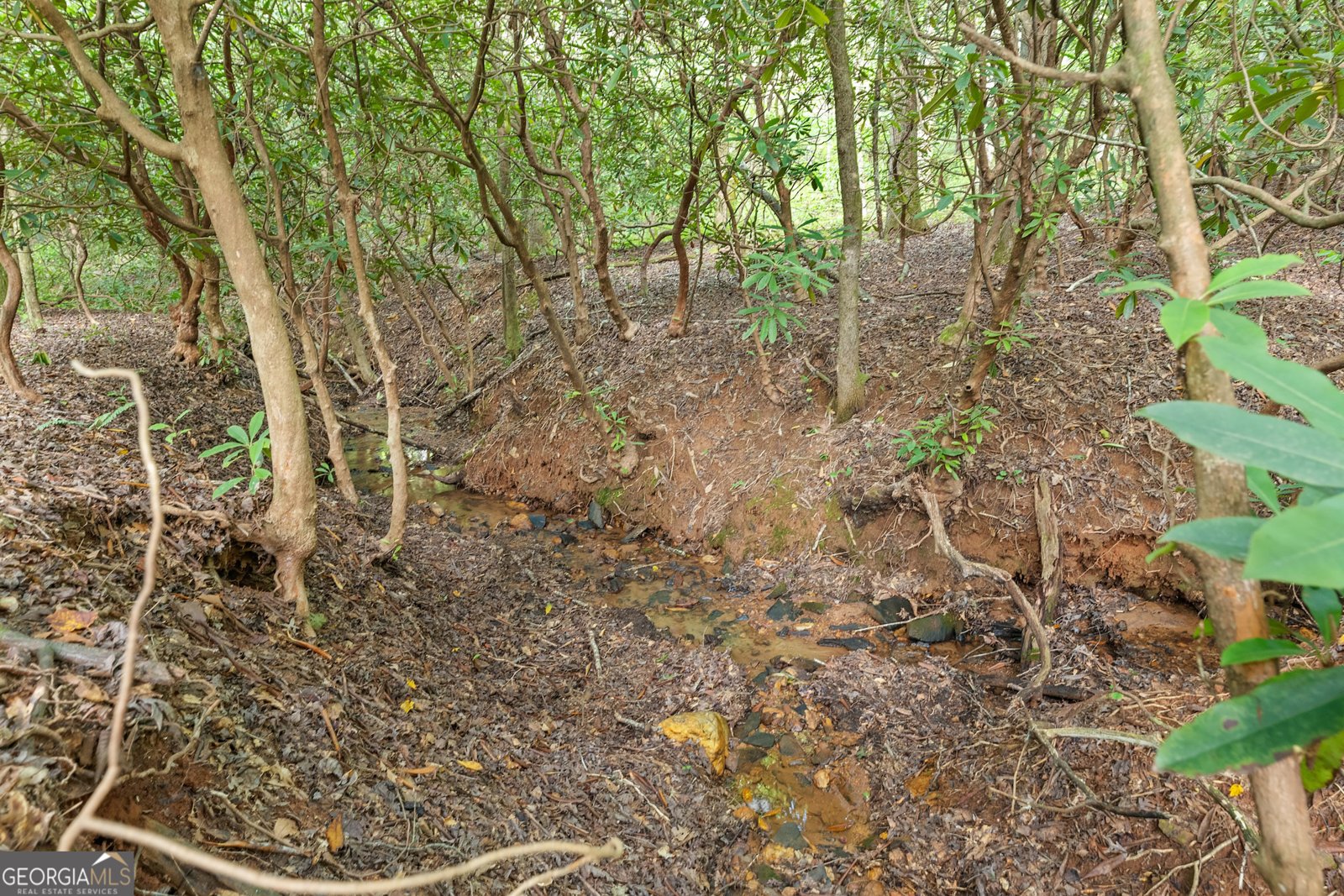 3103 Highway 197 Clarkesville - Photo 26