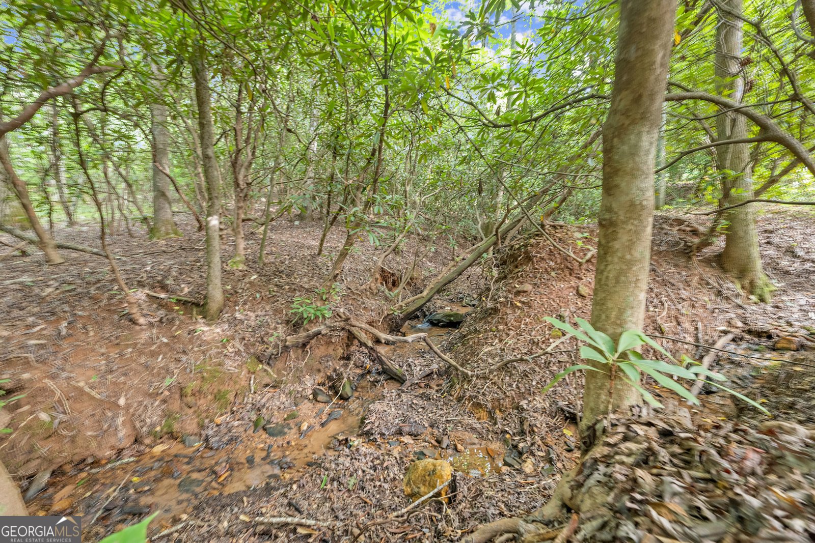 3103 Highway 197 Clarkesville - Photo 27