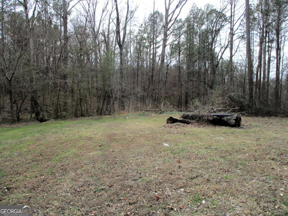 606 Cline Road Resaca - Photo 47