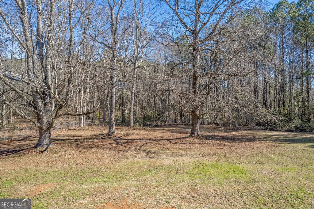 2211 Sharpsburg McCullum Road Newnan - Photo 42