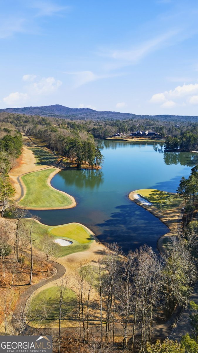 1343 McElroy Mountain Drive Jasper - Photo 100