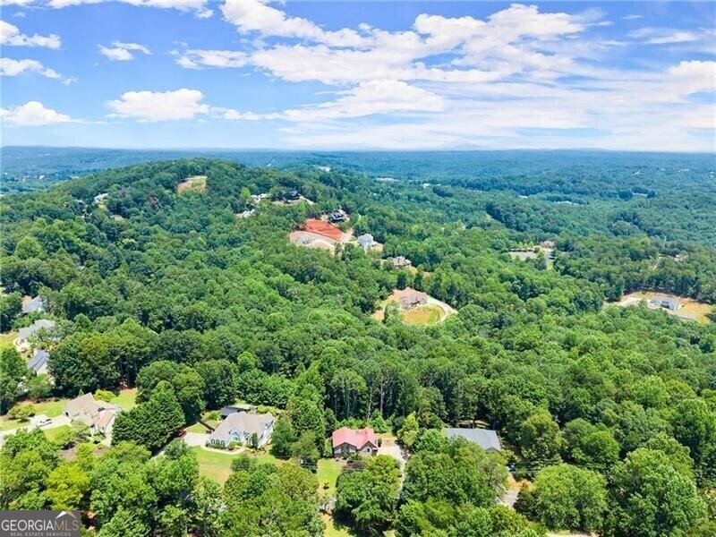 735 Calhoun Road Dahlonega - Photo 51