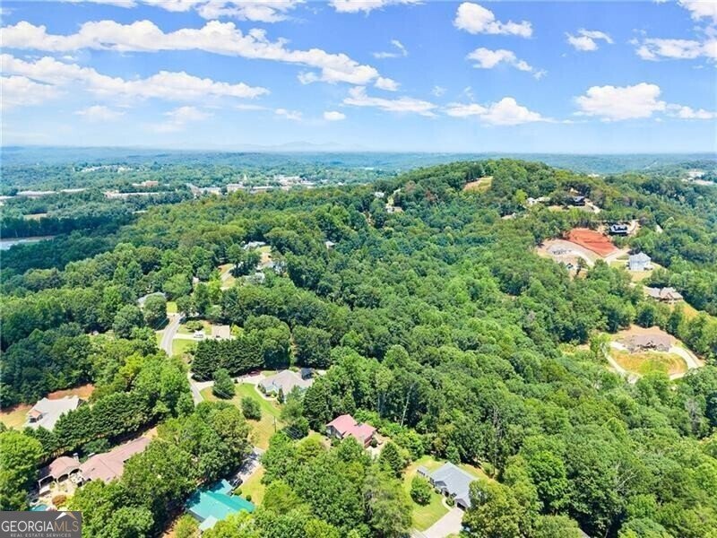 735 Calhoun Road Dahlonega - Photo 52