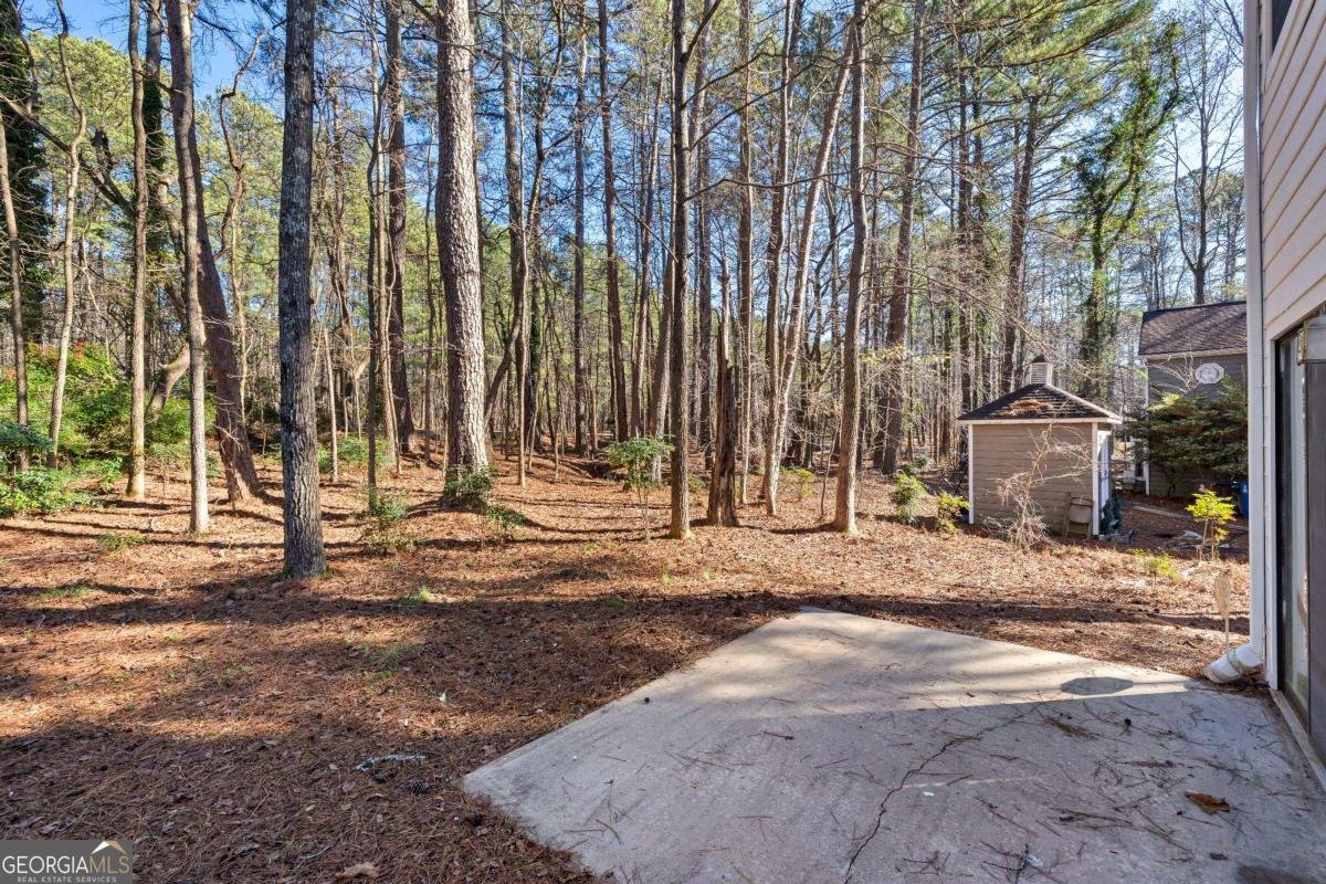 203 Windgate Court Peachtree City - Photo 51