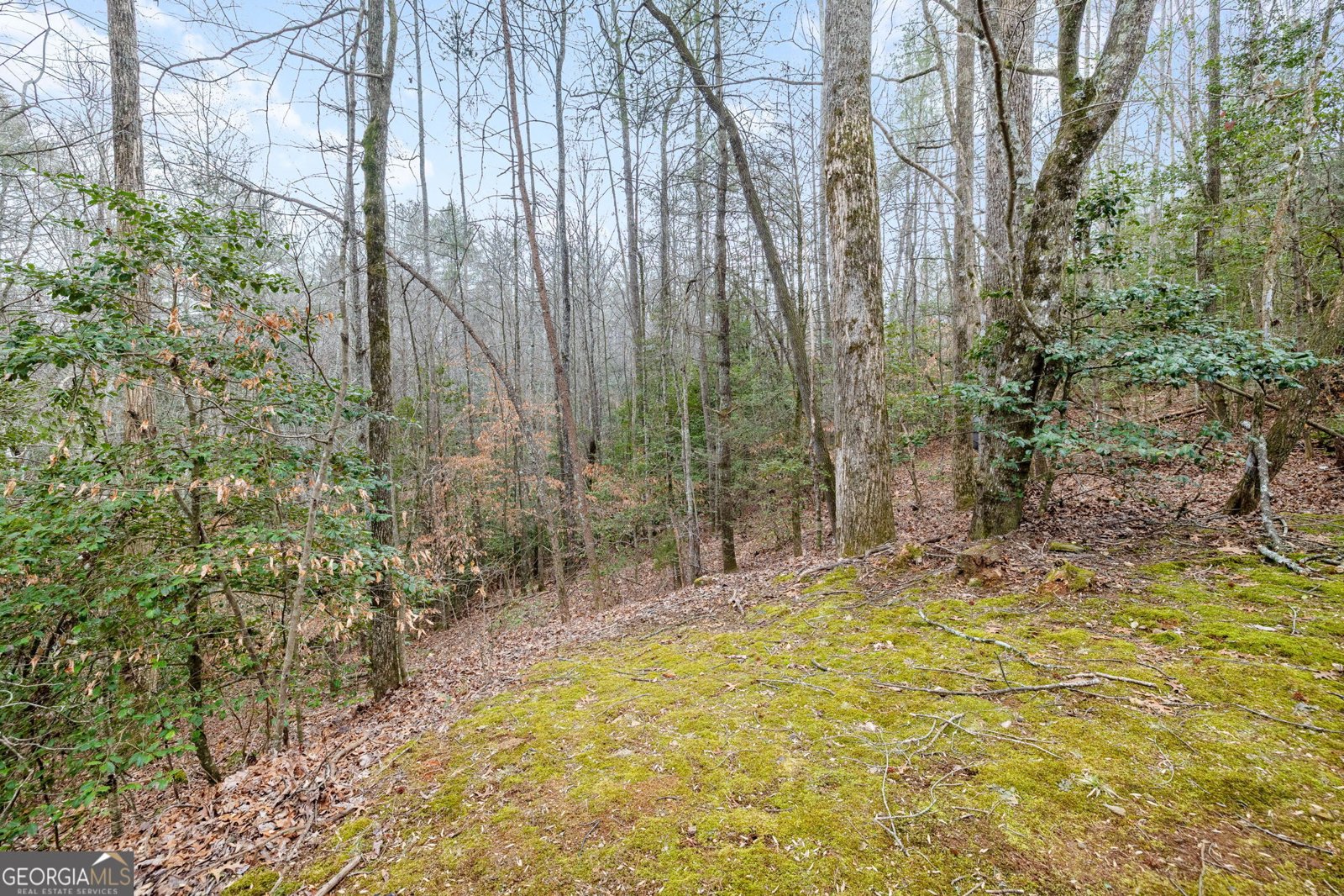 89 Ts Jarrard Road Dahlonega - Photo 27
