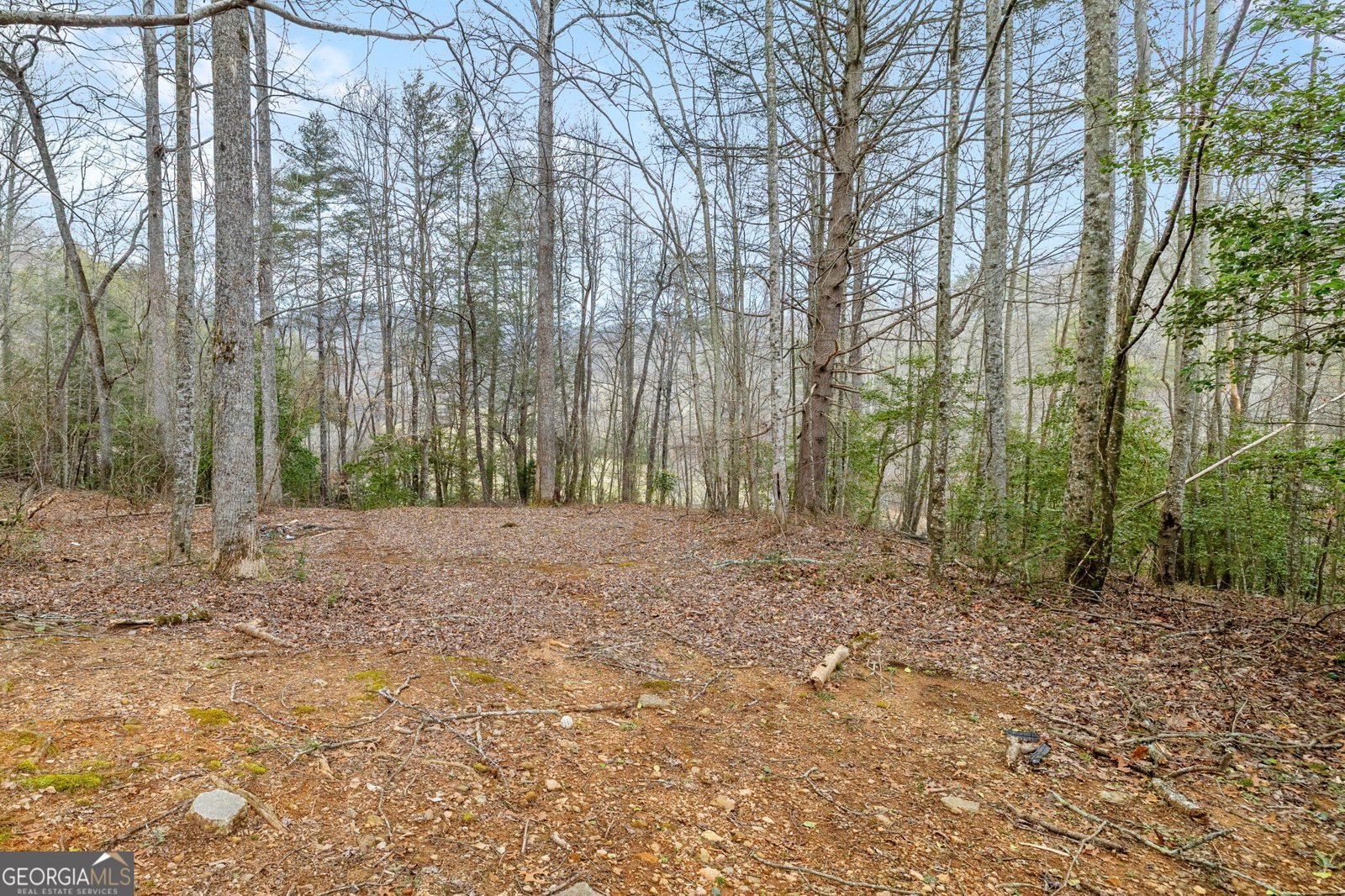 89 Ts Jarrard Road Dahlonega - Photo 28