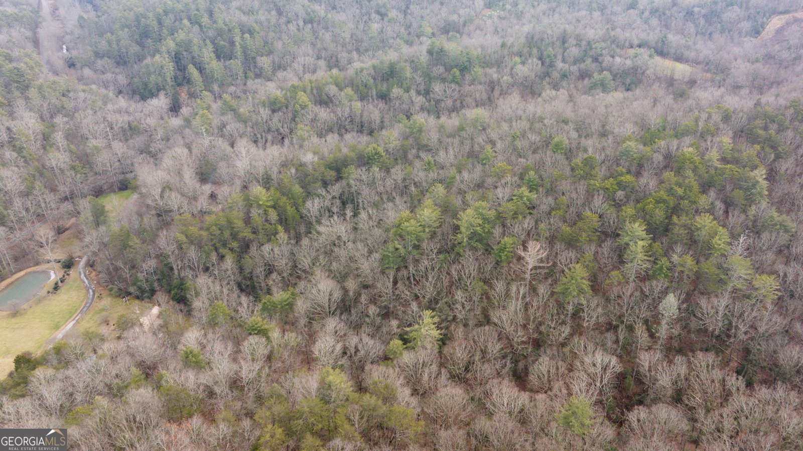 89 Ts Jarrard Road Dahlonega - Photo 48