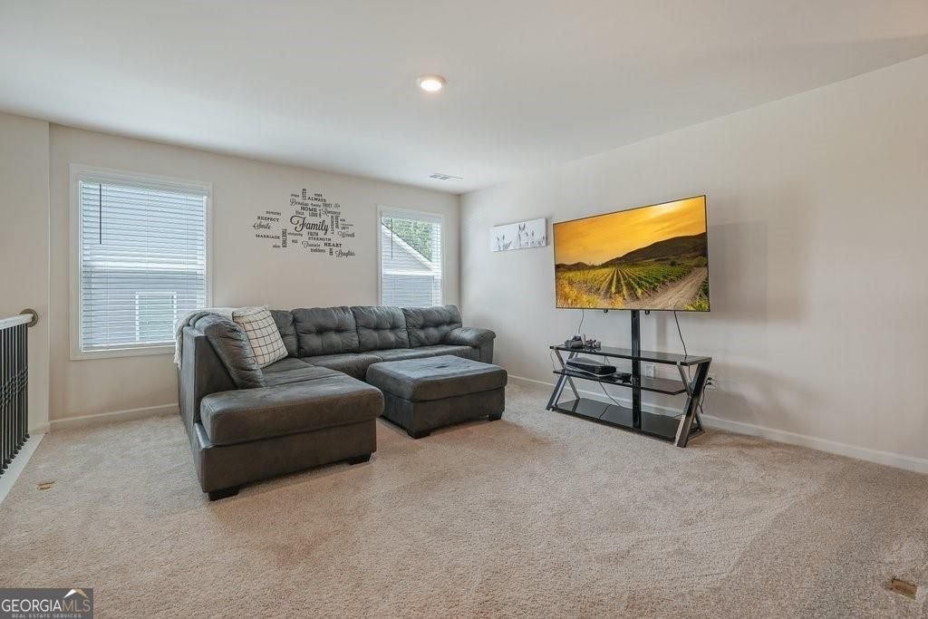 66 Snowdon Way Abbeville - Photo 28