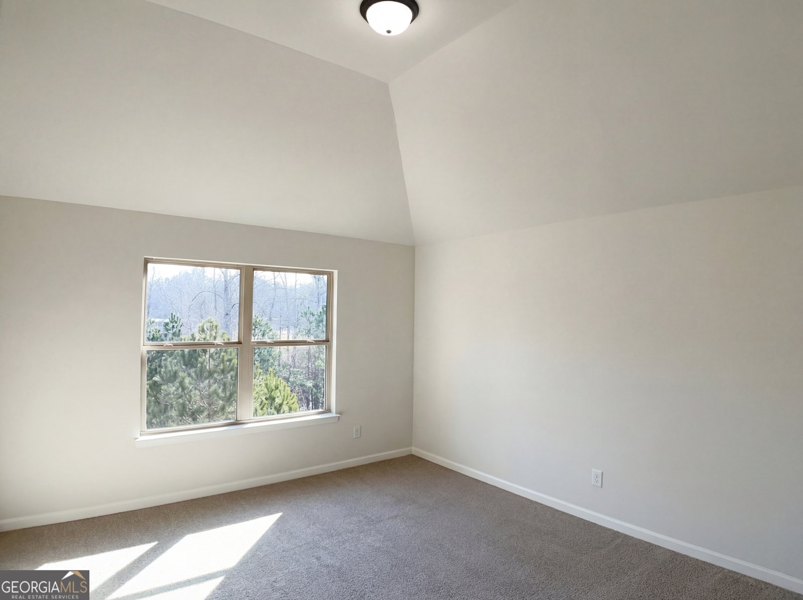 4504 Trellis View Lane Loganville - Photo 17