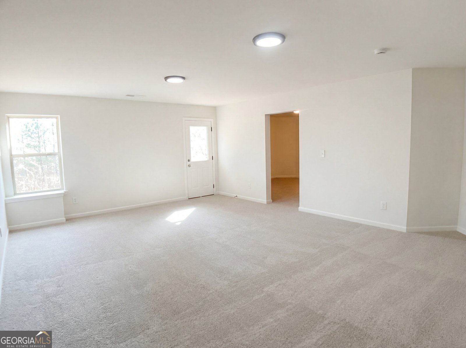 4504 Trellis View Lane Loganville - Photo 24