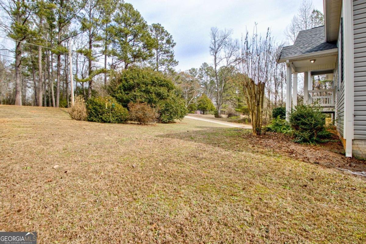 68 Skyview Road Senoia - Photo 47