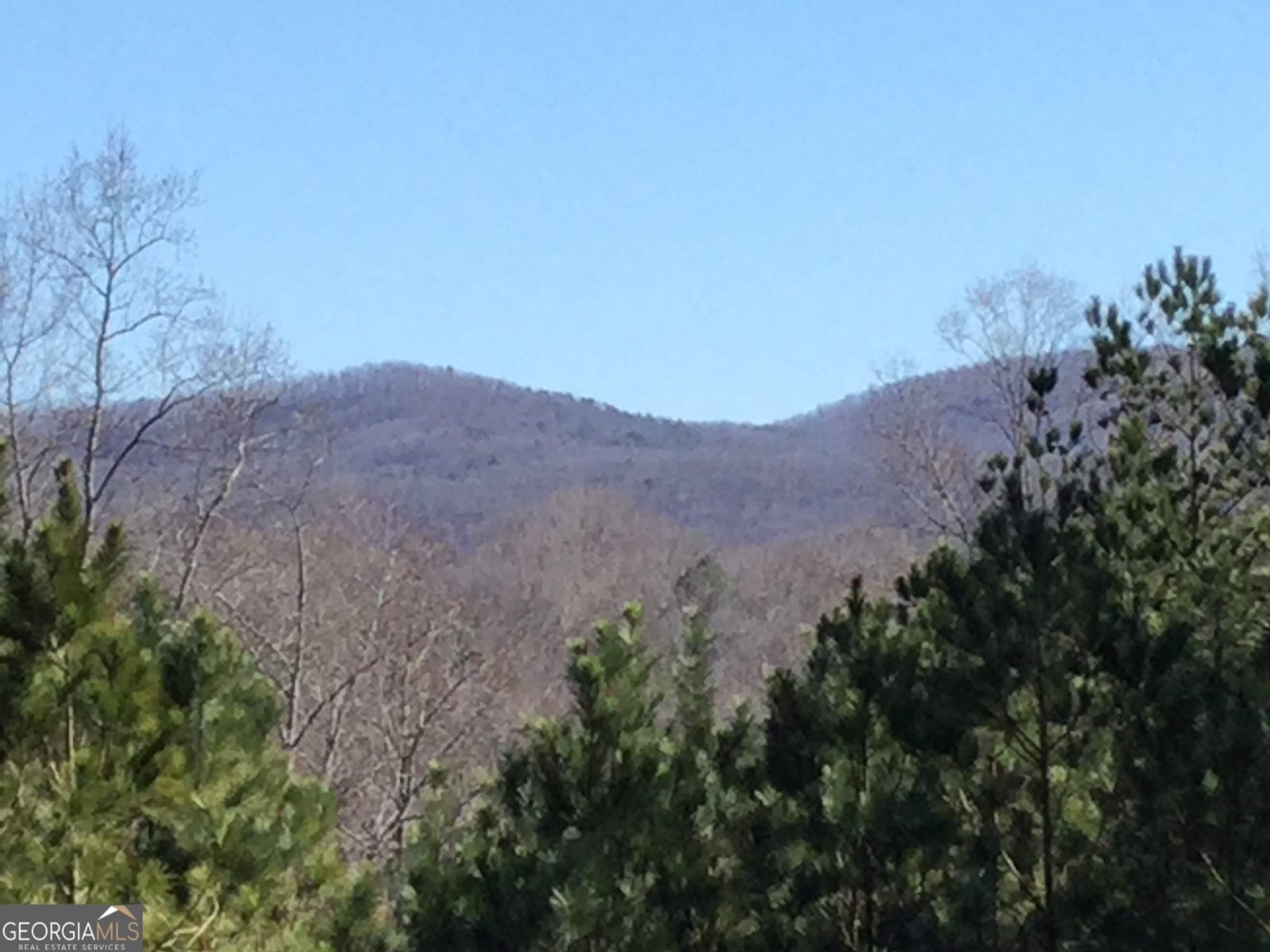 716 Old Pleasant Valley Rd Talking Rock - Photo 40