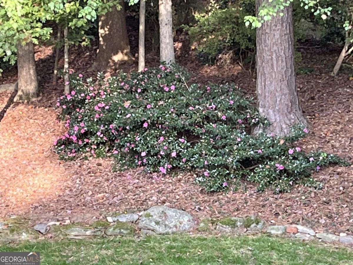 1656 Barn Swallow Place Marietta - Photo 50