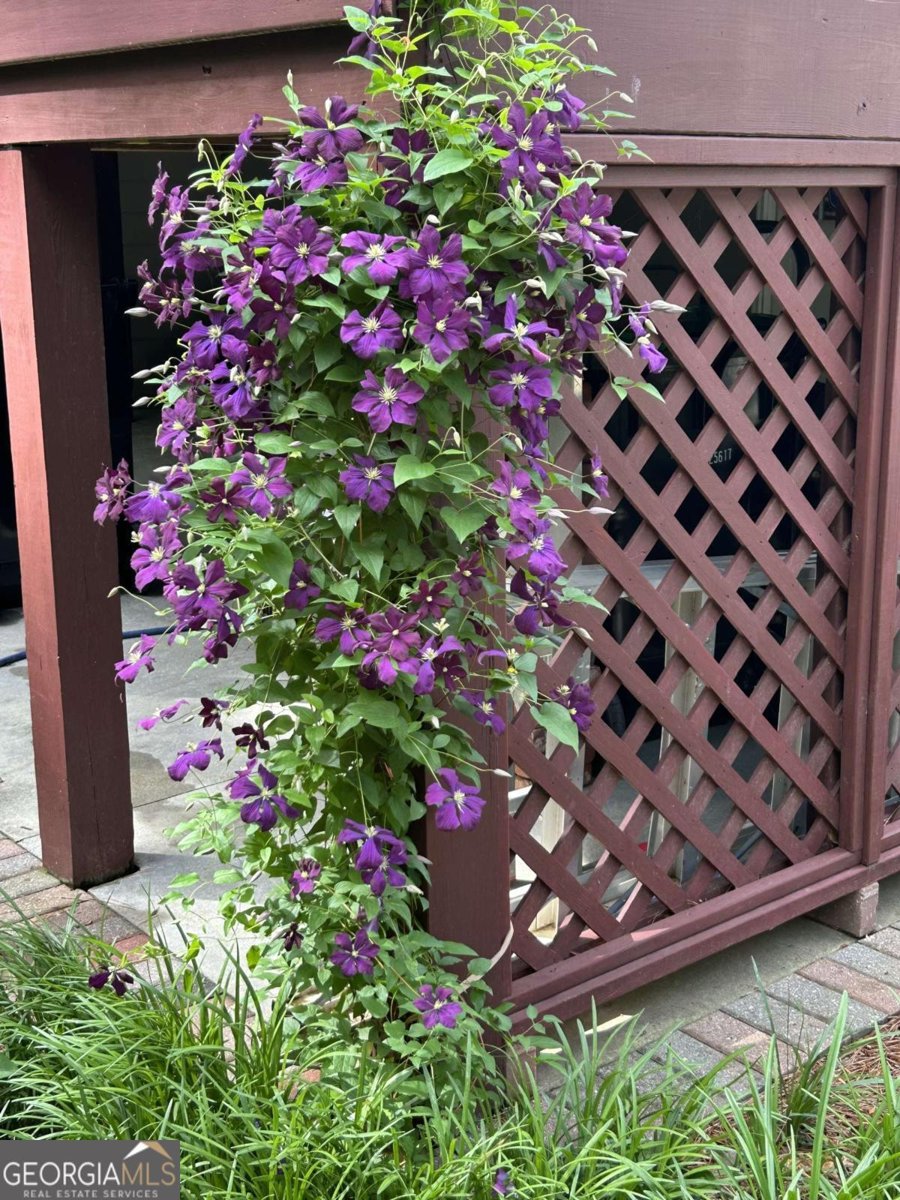 1656 Barn Swallow Place Marietta - Photo 51