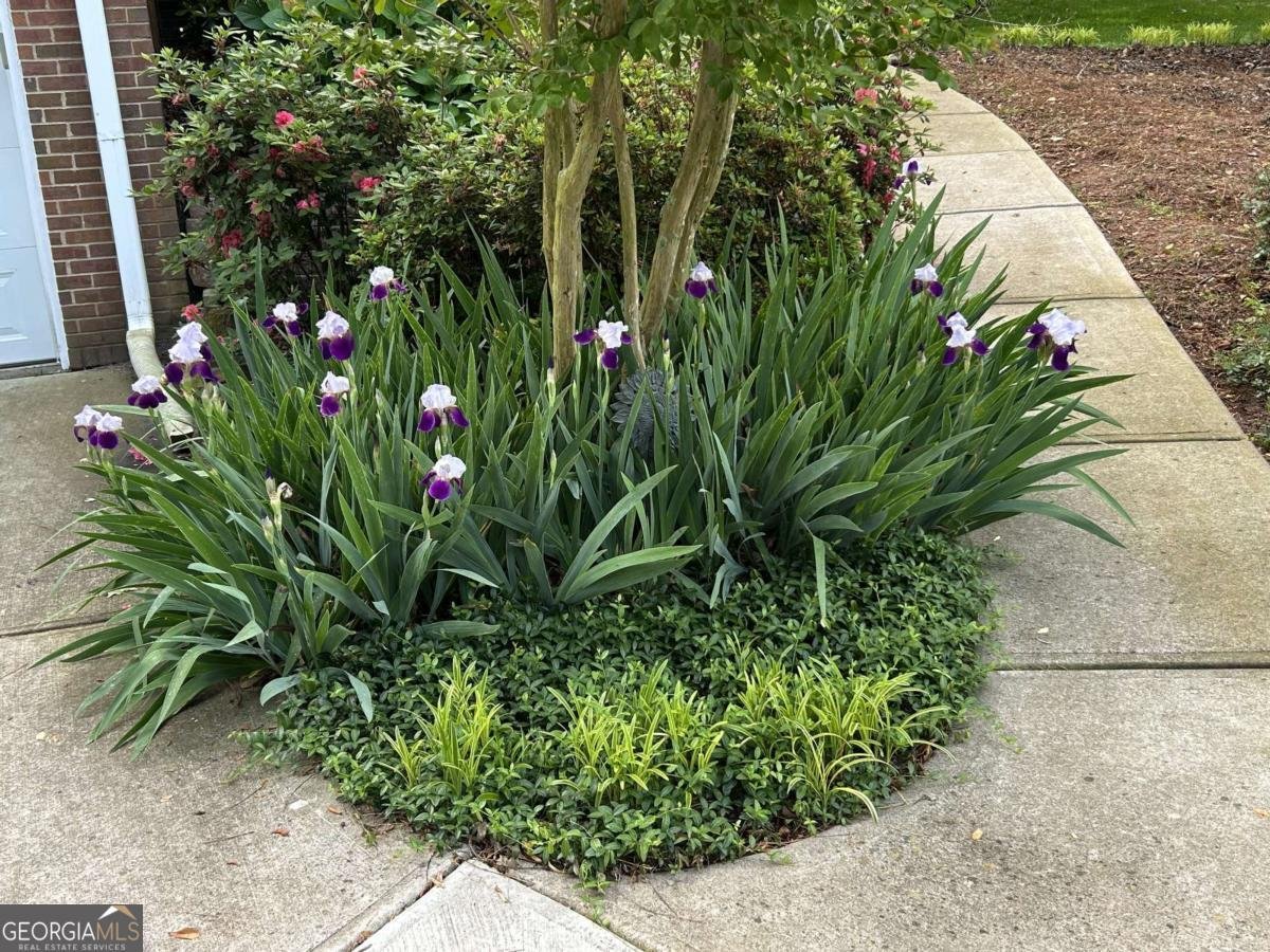 1656 Barn Swallow Place Marietta - Photo 52