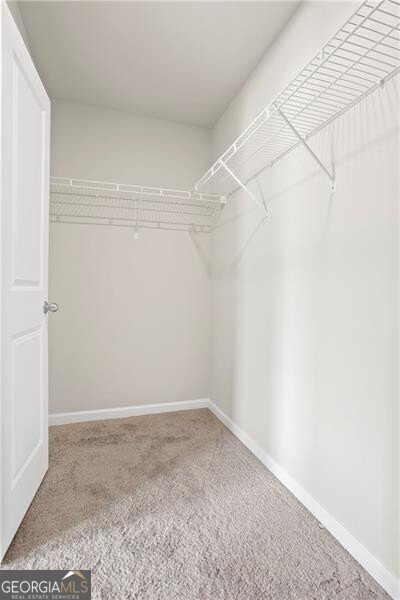 5209 Fox Den Road Oakwood - Photo 18