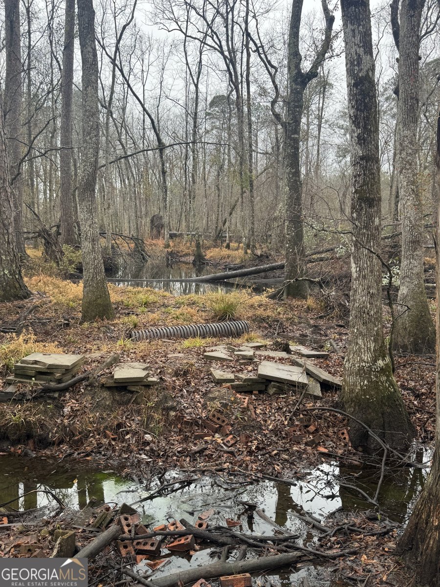 899 Foxboro Lane Portal - Photo 43