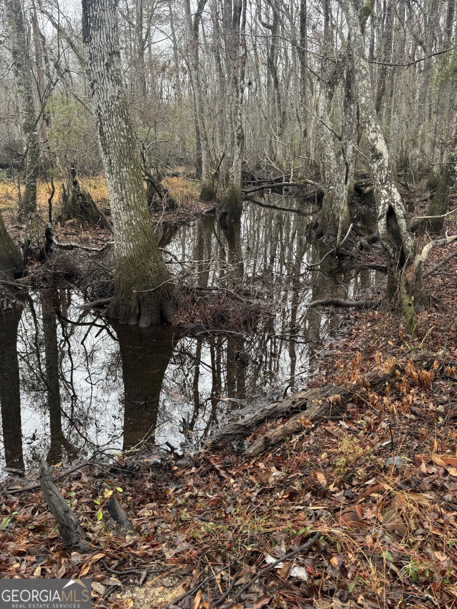 899 Foxboro Lane Portal - Photo 44