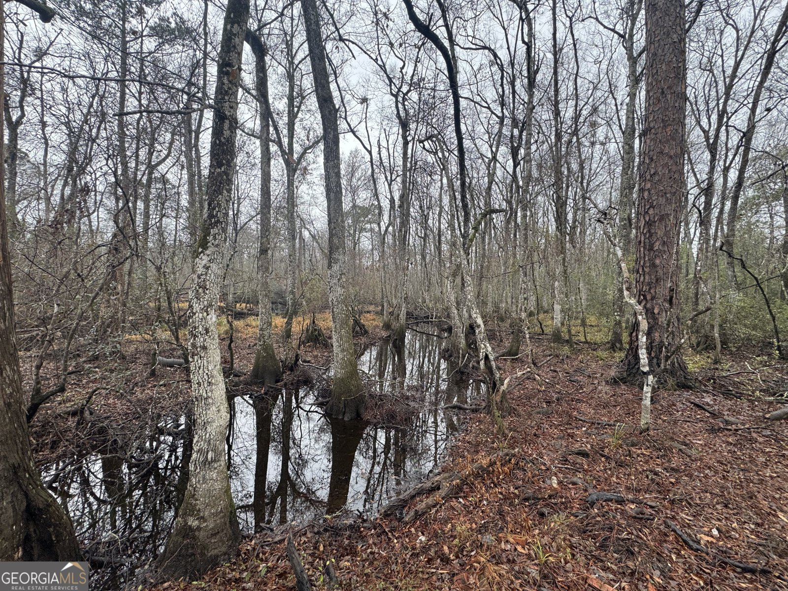 899 Foxboro Lane Portal - Photo 45