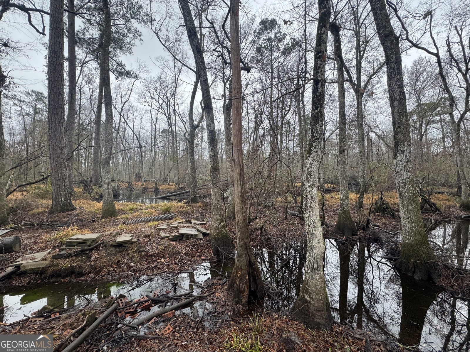 899 Foxboro Lane Portal - Photo 46