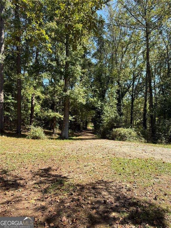 116 MOUNT CALVARY Road Marietta - Photo 10