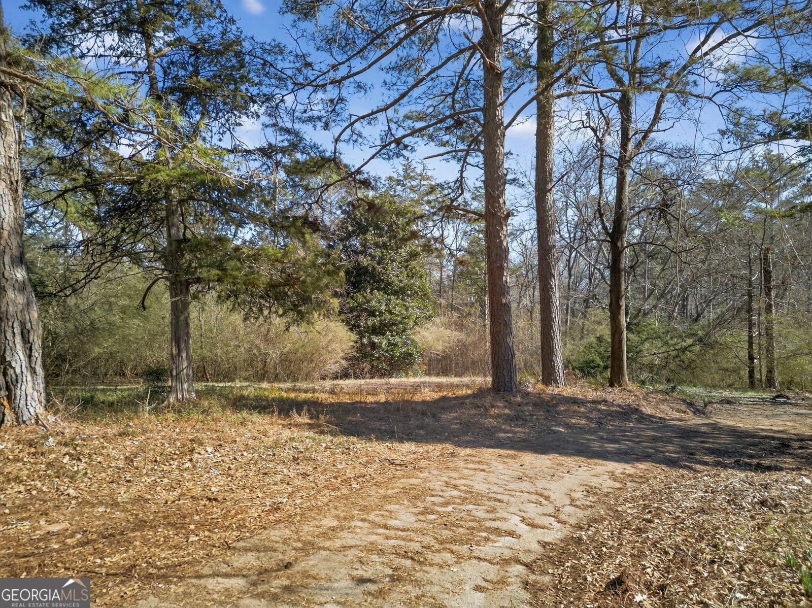 5050 Wendwood Road Conyers - Photo 59