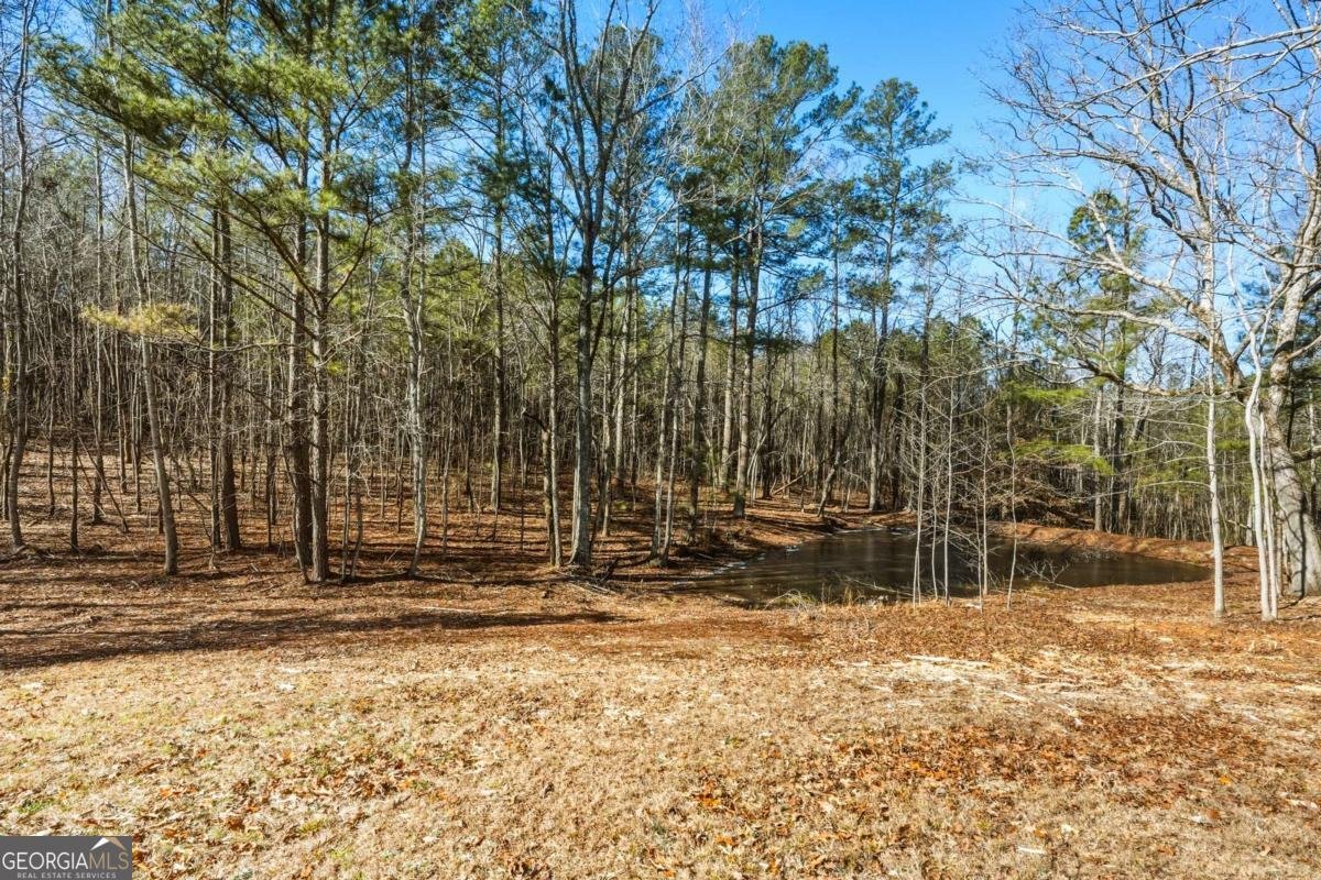 3462 Vinson Mountain Road Rockmart - Photo 23