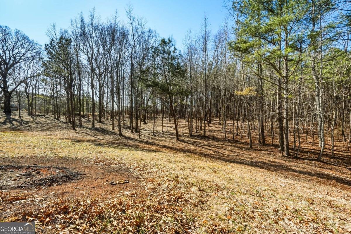 3462 Vinson Mountain Road Rockmart - Photo 24