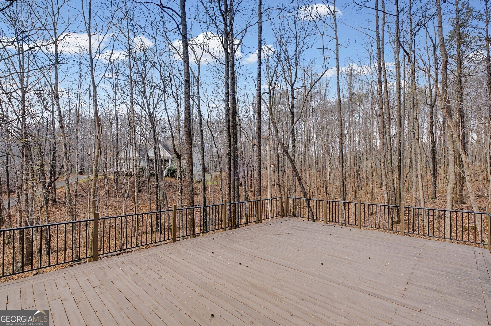 218 Amaranth Court Ball Ground - Photo 41